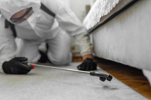 Professional Bed Bug Control technician working in St. Charles, IL