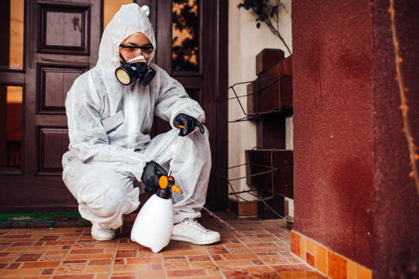 Reliable Bed Bug Control contractor in St. Charles, IL by Nex Pest Control